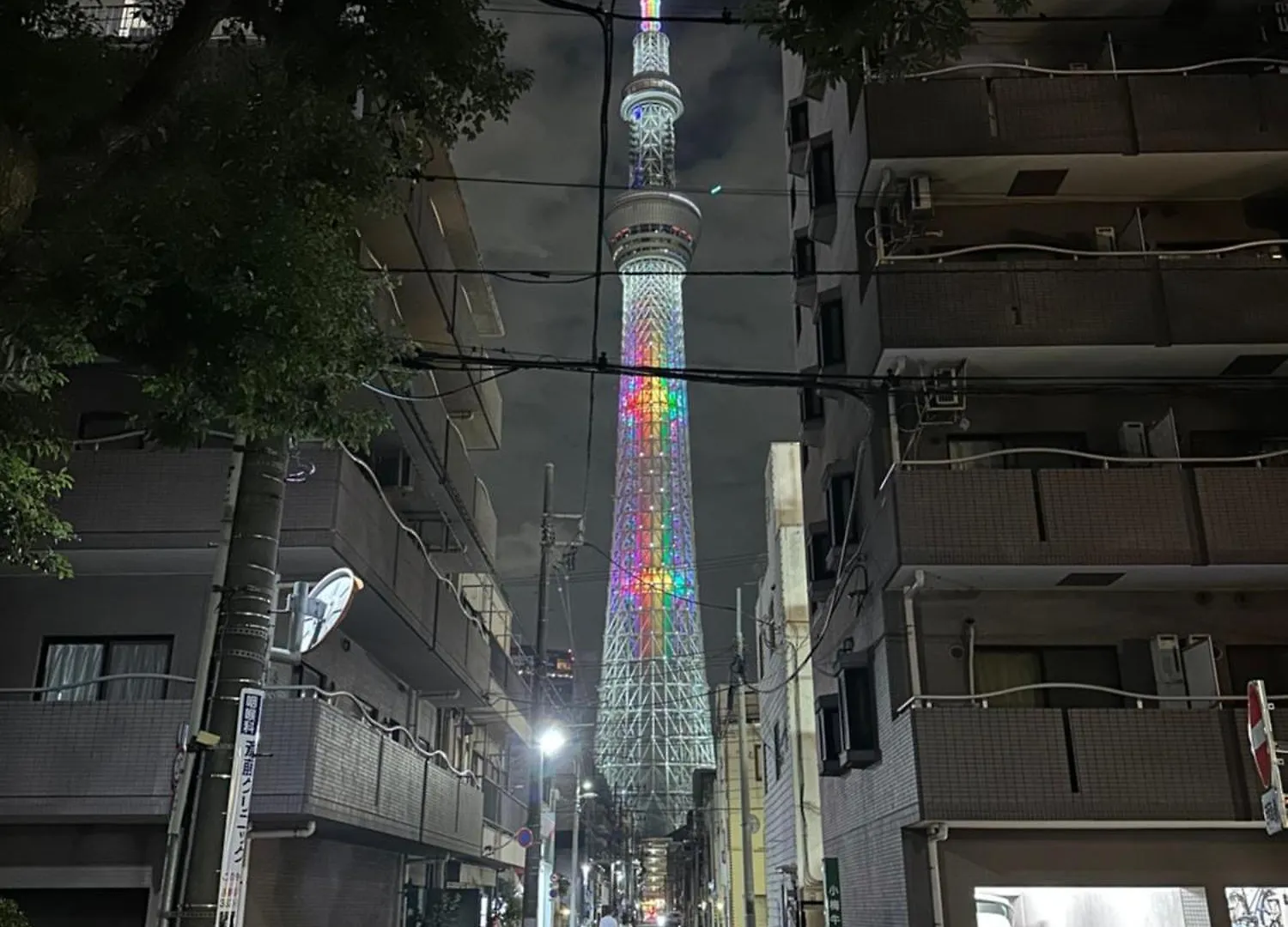Wise Park Mukojima Apartment Tokyo